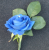 Wedding Real Touch Royal Blue Rose Buttonhole