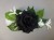 Corsage with artificial black rose
