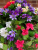 Hanging Baskets With Artificial Purple and pink Petunias G-23
