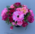 Cemetery pot with pink carnations