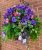 Hanging Baskets With Artificial Purple Petunias G-22