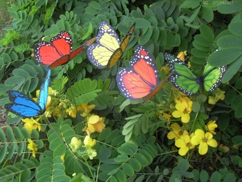 butterfly for basket